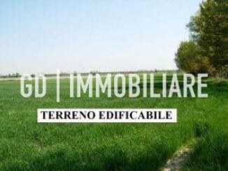 Terreno edificabile-in-vendita-Montebelluna
