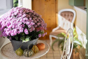 Appartamento-in-vendita-Volpago del Montello