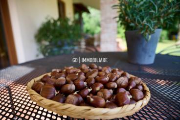 Villa-in-vendita-Montebelluna